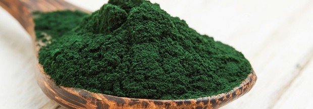 spiruline-poudre